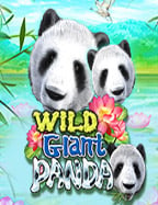 เว ป พนัน ที่ เชื่อถือ ได้: รีวิวเกมสล็อตที่ไม่ควรพลาด!